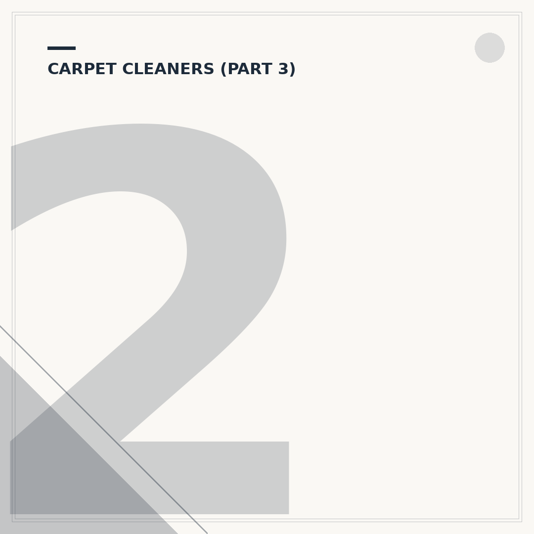 2 in 1 Vacuum and Carpet Cleaner: What They Are