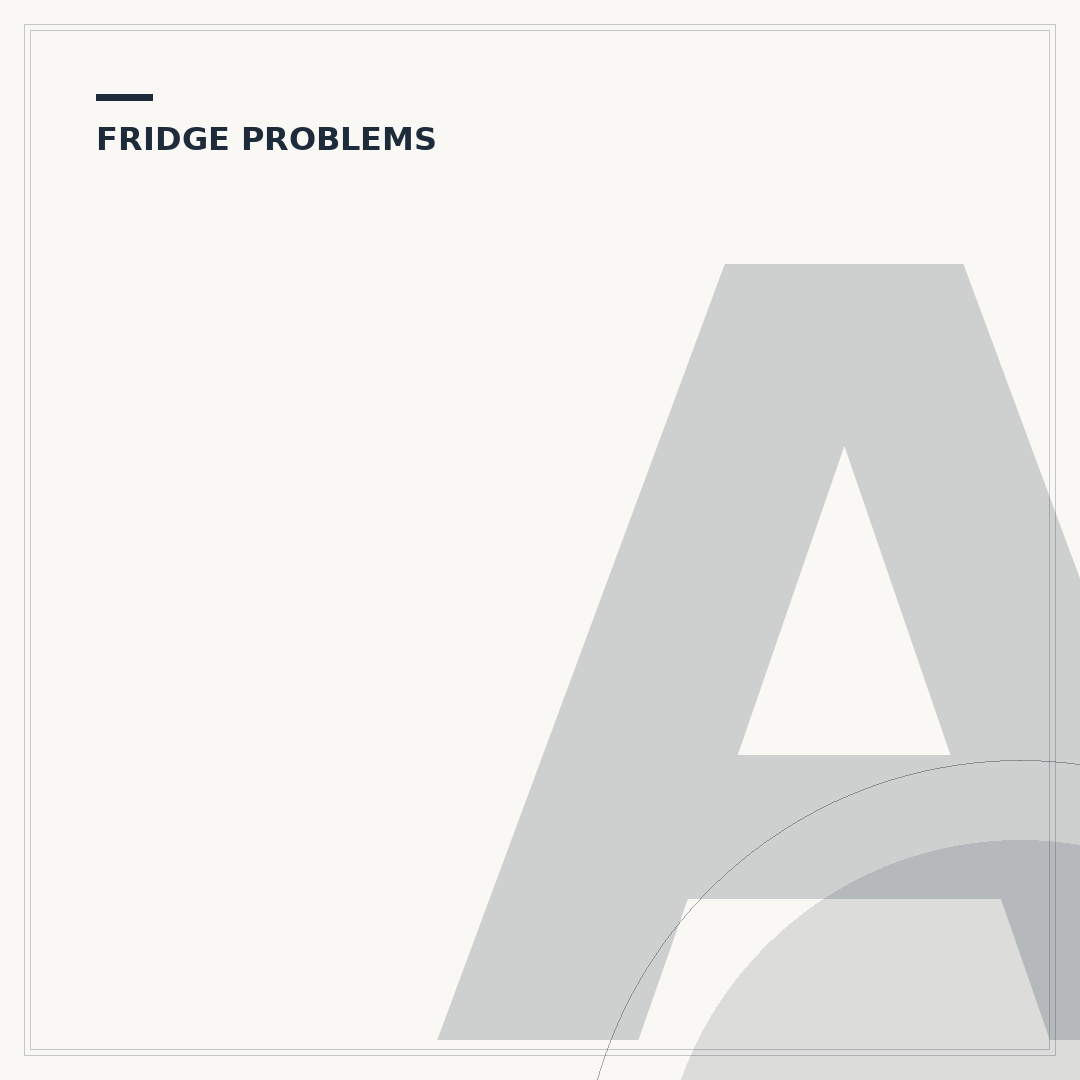 American Fridge Freezer with Ice Dispenser