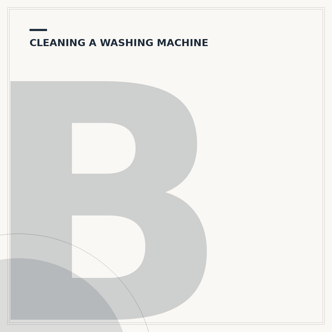 Best Thing to Clean Washing Machine