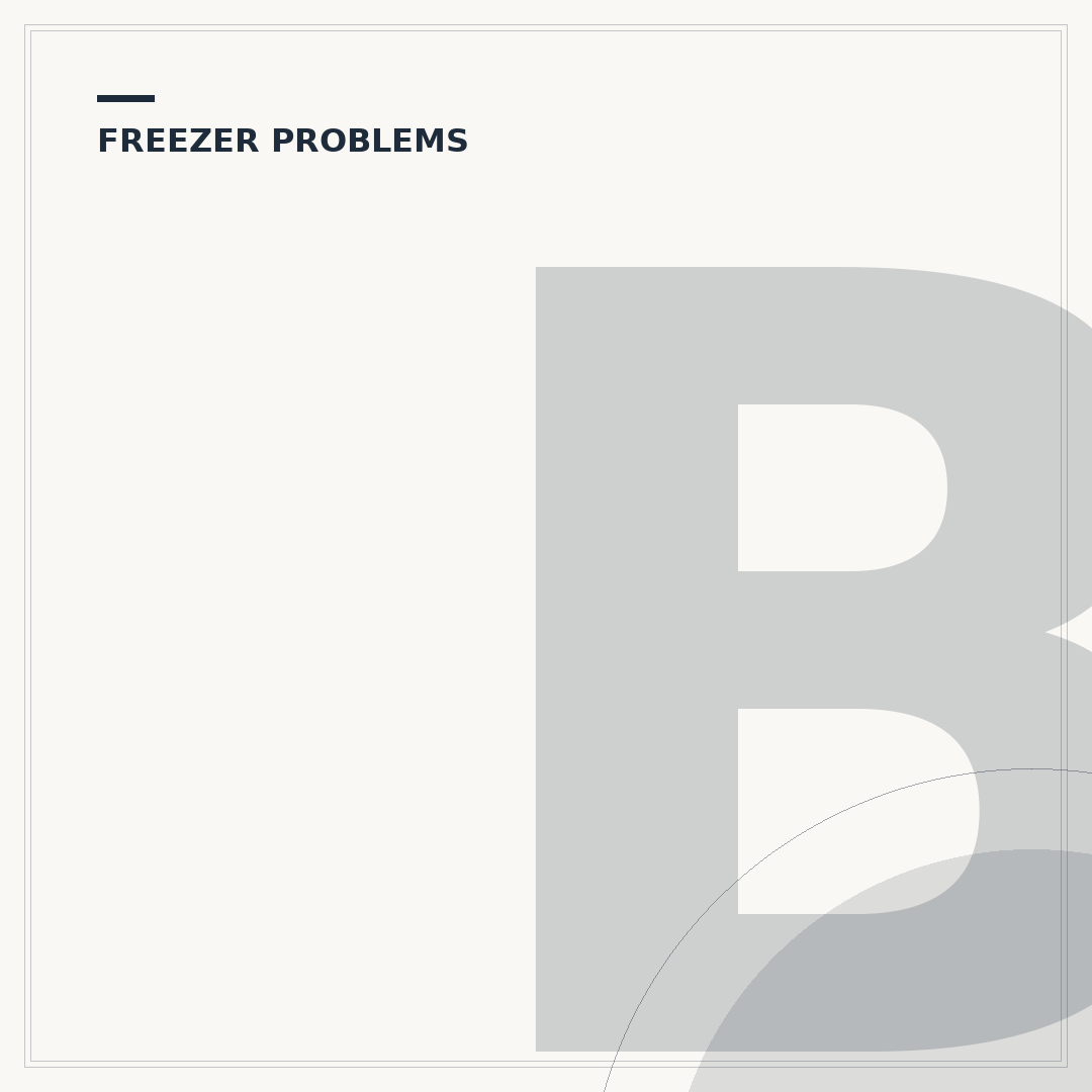 Blomberg Fridge Freezer Problems