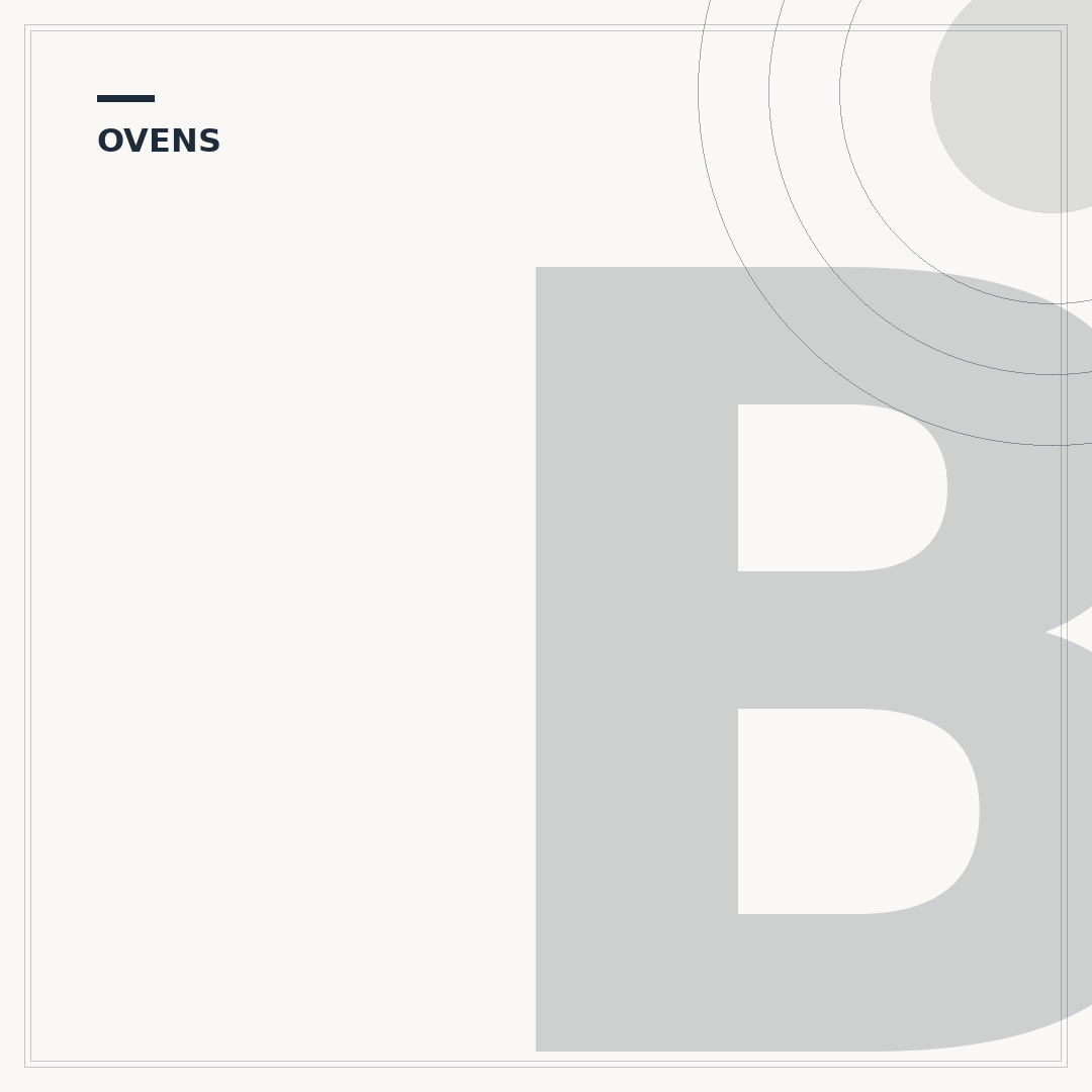 Built-In Electric Ovens
