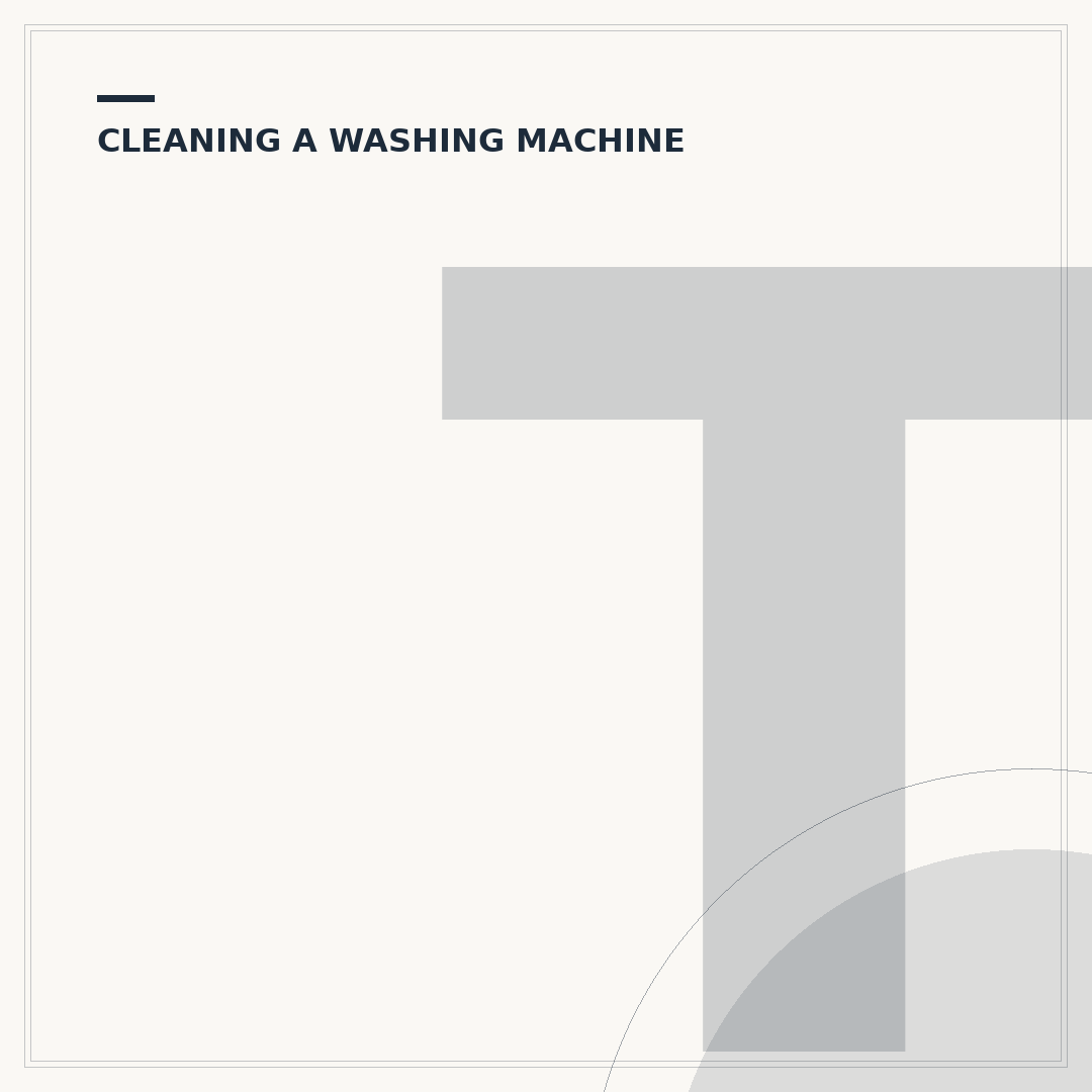 The Best Way to Clean a Washing Machine Seal
