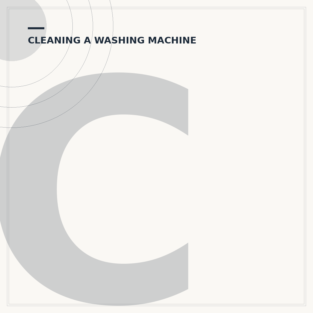 Cleaning a Washing Machine Door Seal