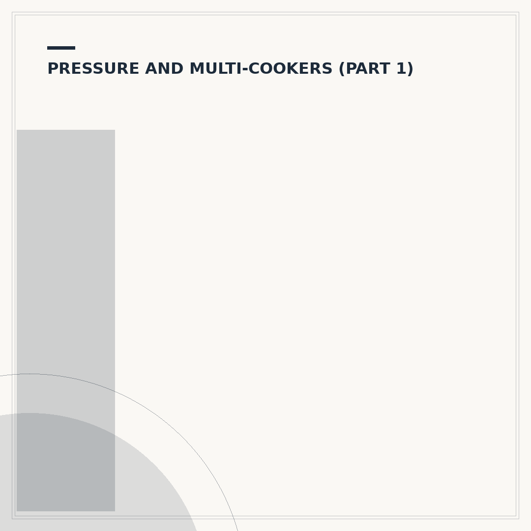 Instant Pot Professional: What You Need to Know
