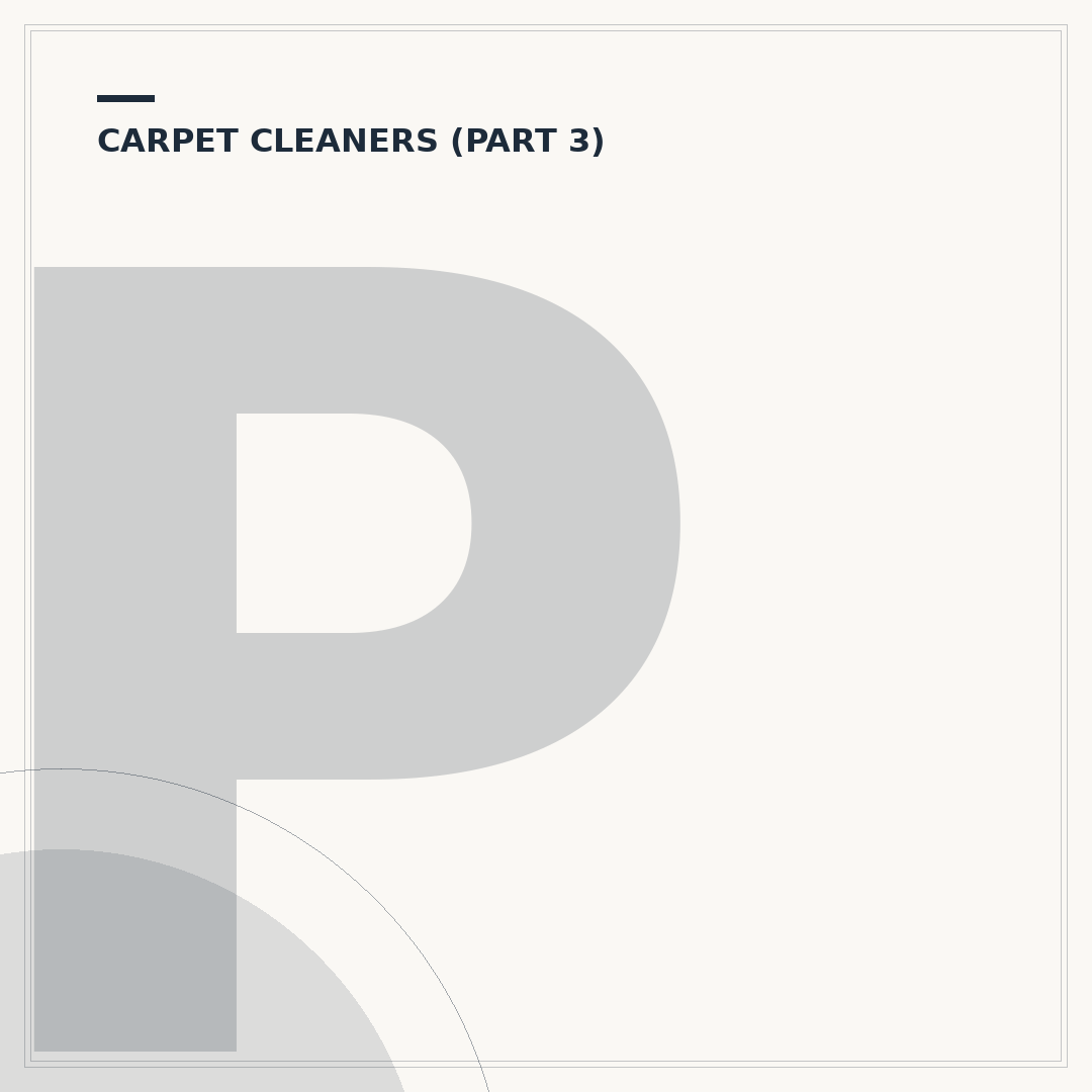 Professinal Carpet Cleaner
