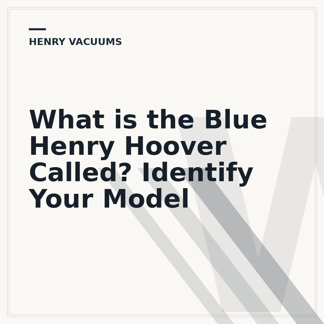 What is the Blue Henry Hoover Called? Identify Your Model