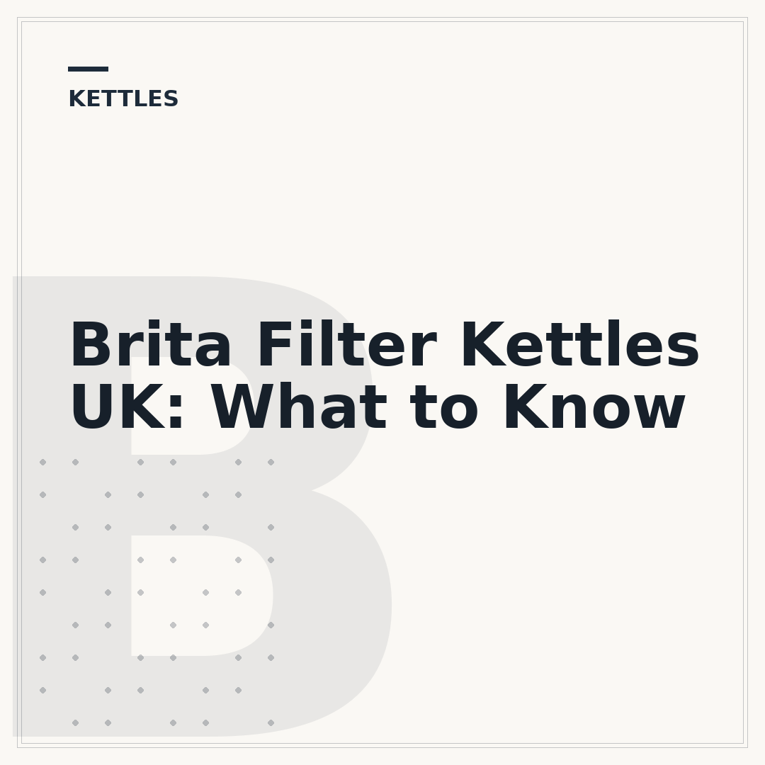 Brita Filter Kettles UK: What to Know