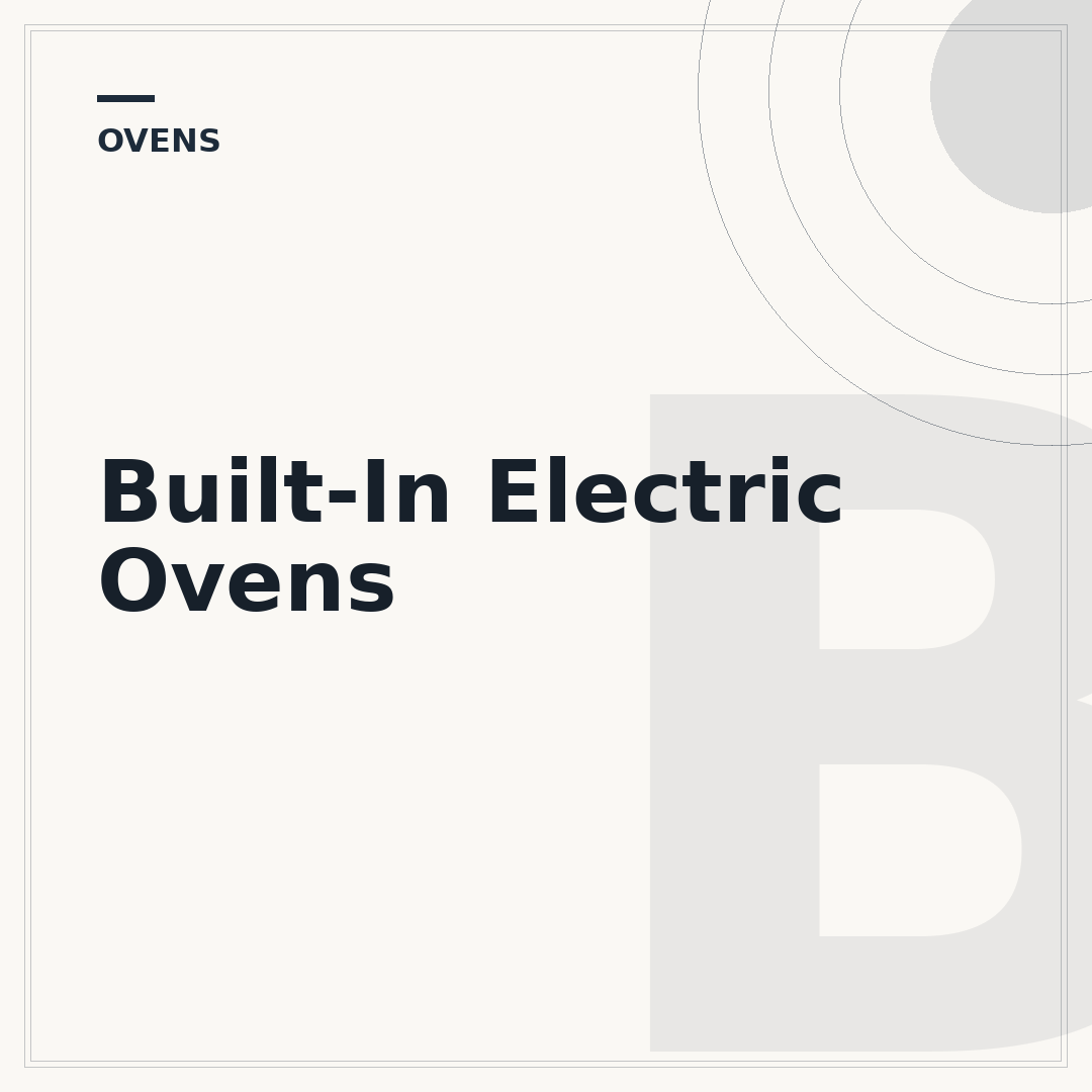 Built-In Electric Ovens