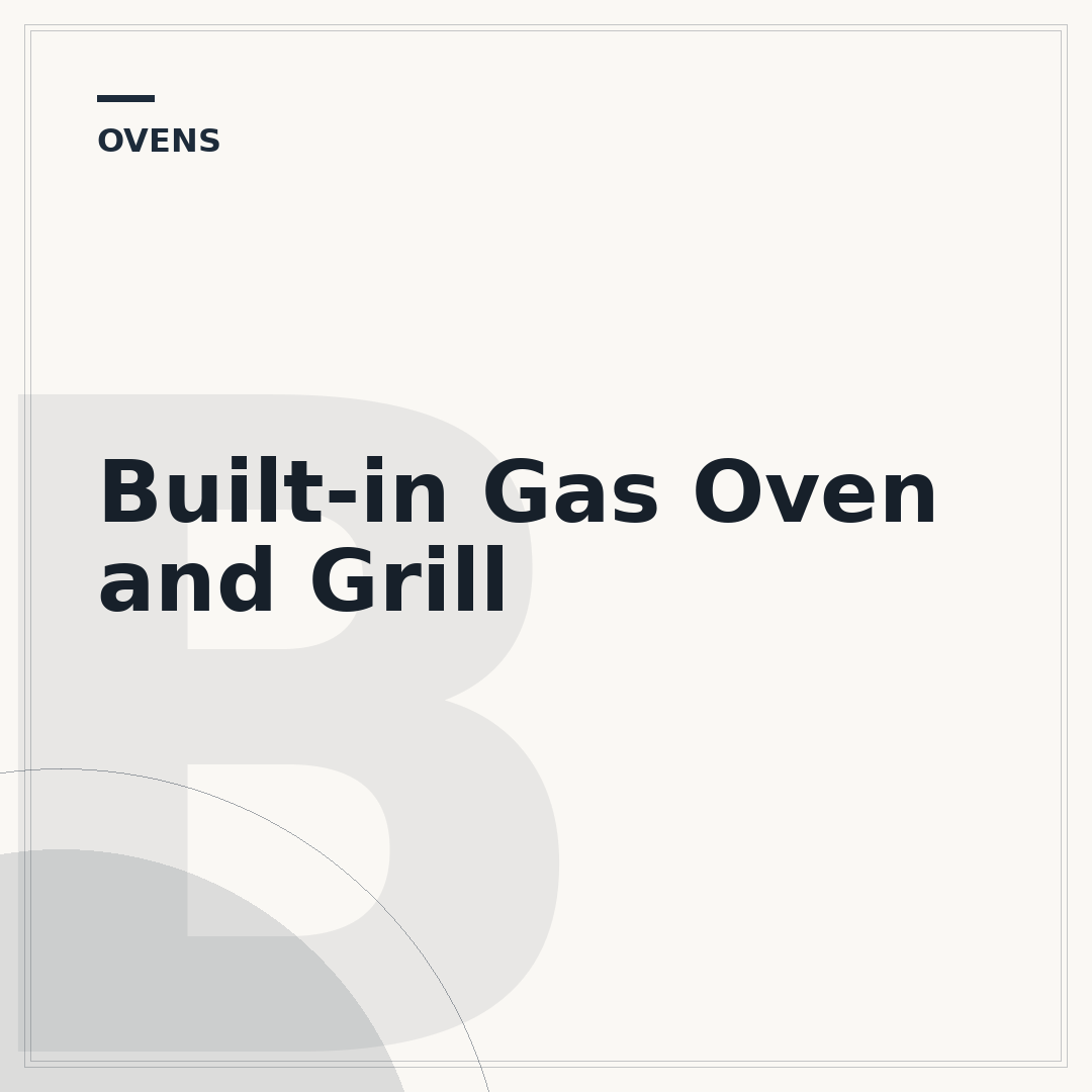 Built-in Gas Oven and Grill