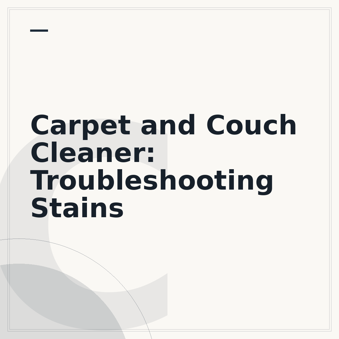 Carpet and Couch Cleaner: Troubleshooting Stains