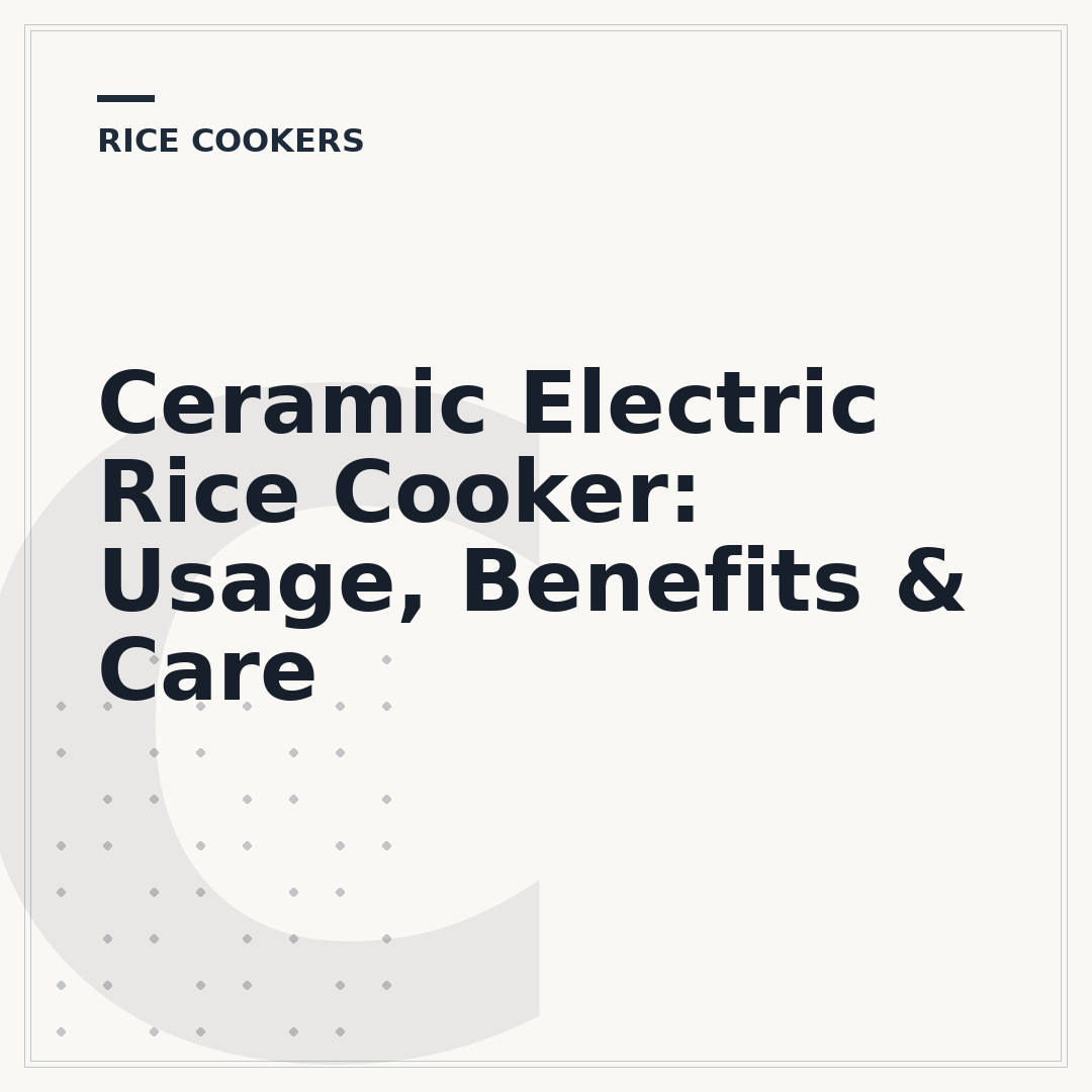 Ceramic Electric Rice Cooker: Usage, Benefits & Care