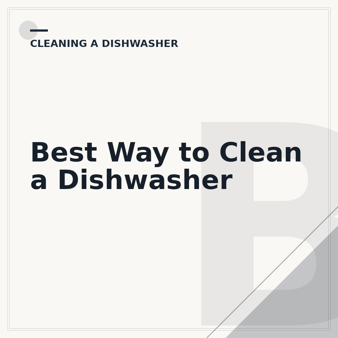 Best Way to Clean a Dishwasher