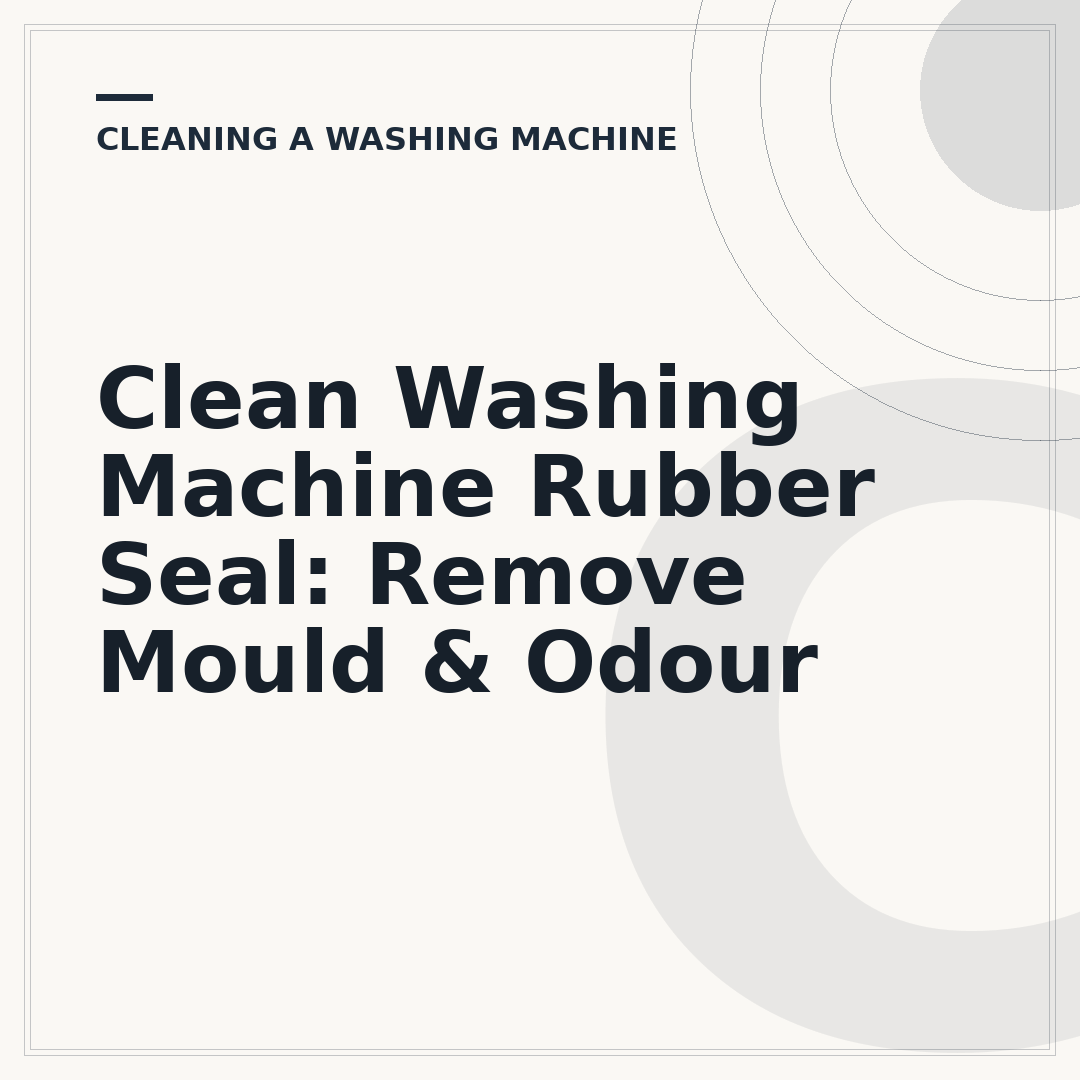 Clean Washing Machine Rubber Seal: Remove Mould & Odour