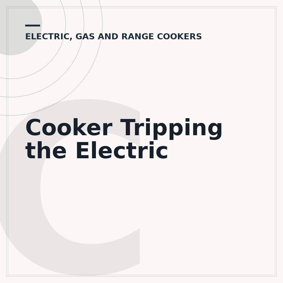 Cooker Tripping the Electric
