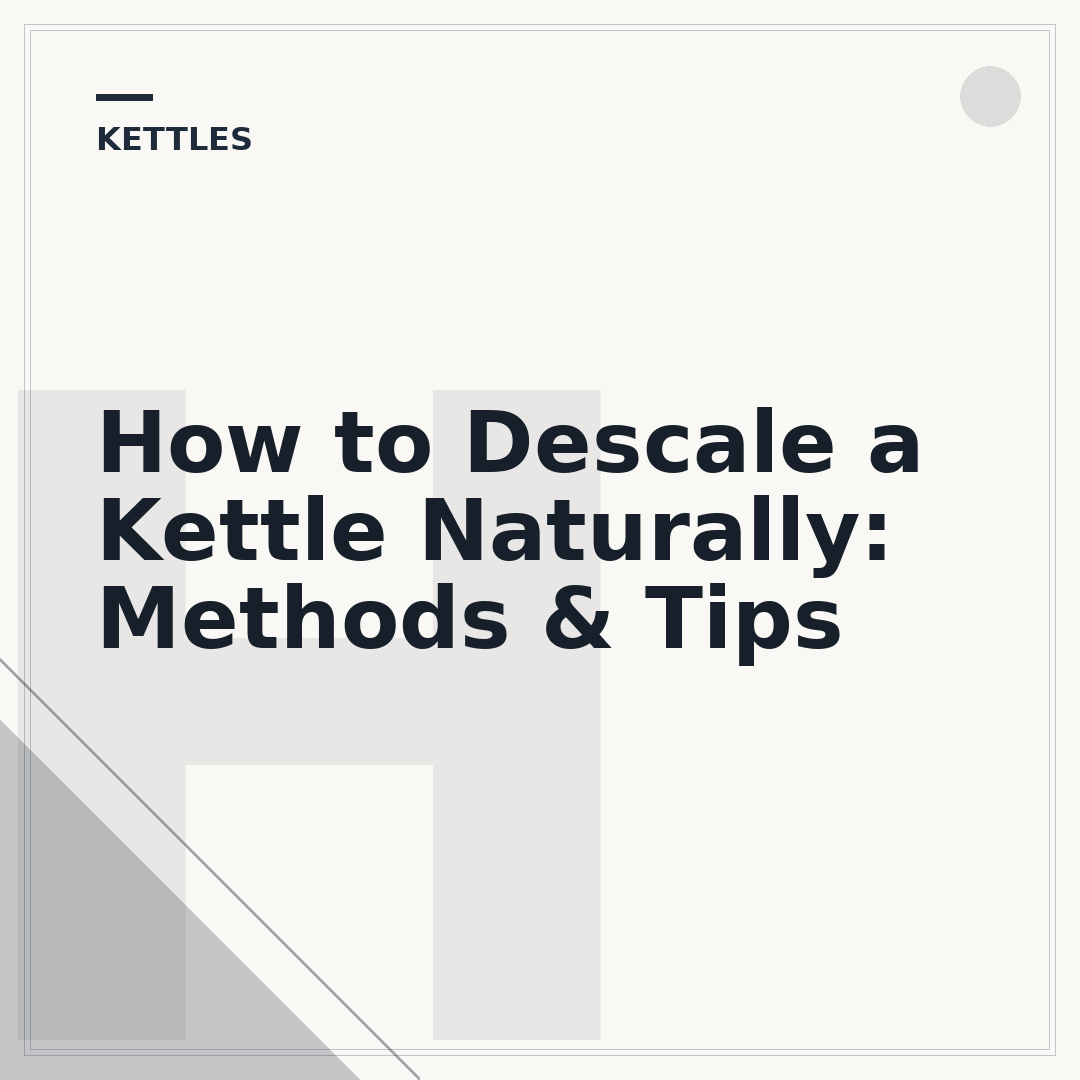 How to Descale a Kettle Naturally: Methods & Tips