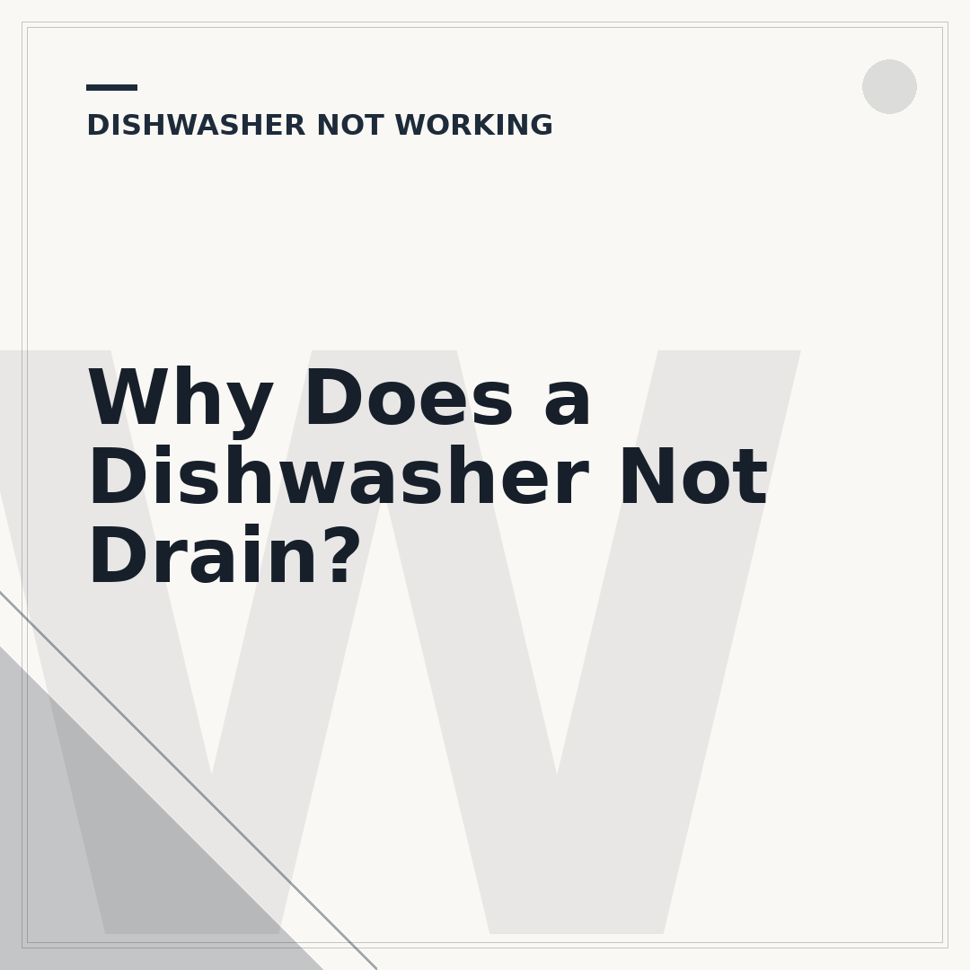 Why Does a Dishwasher Not Drain?