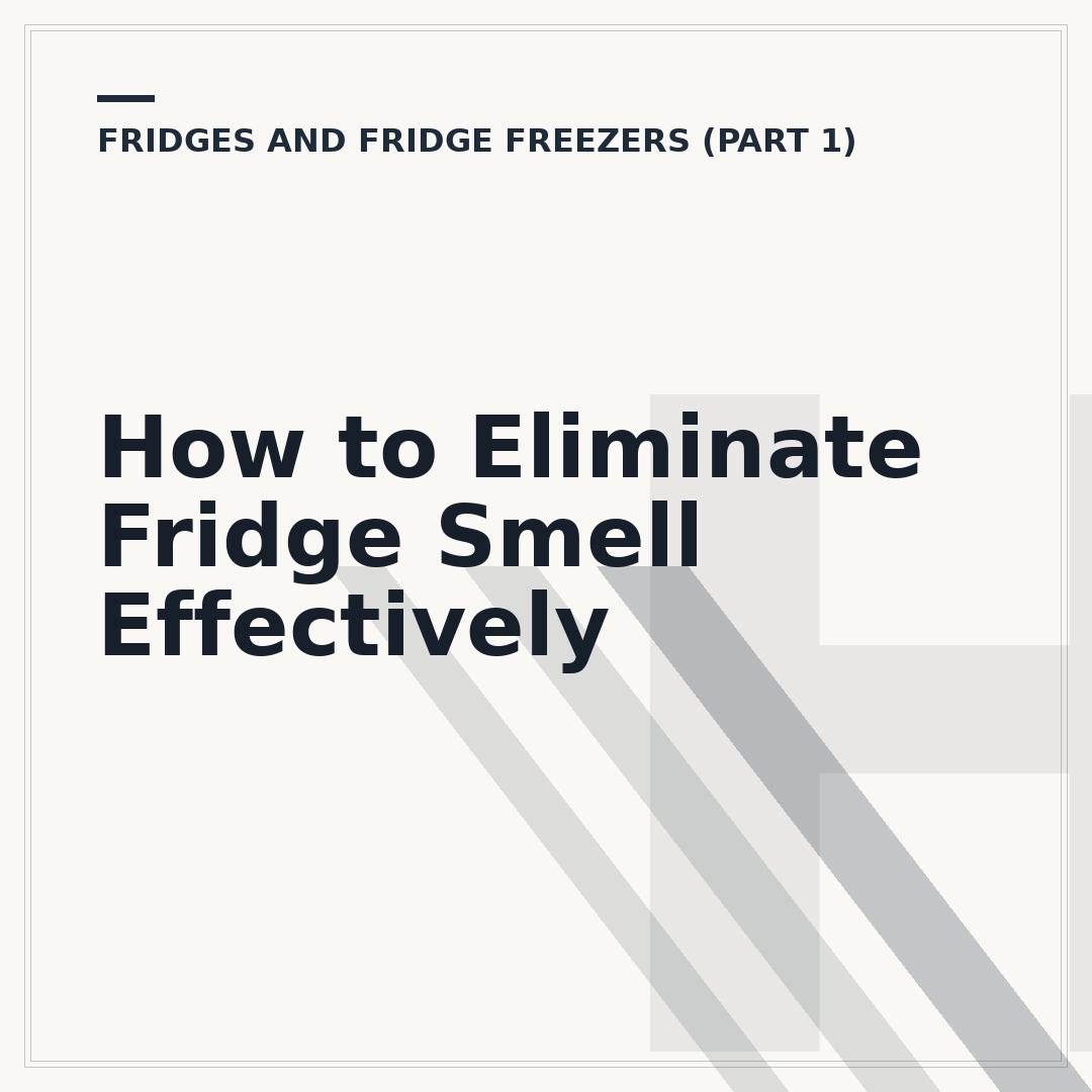 How to Eliminate Fridge Smell Effectively