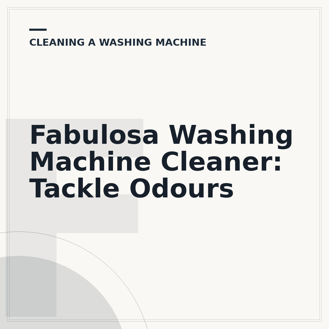 Fabulosa Washing Machine Cleaner: Tackle Odours