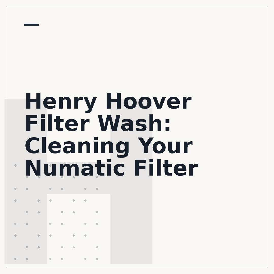 Henry Hoover Filter Wash: Cleaning Your Numatic Filter