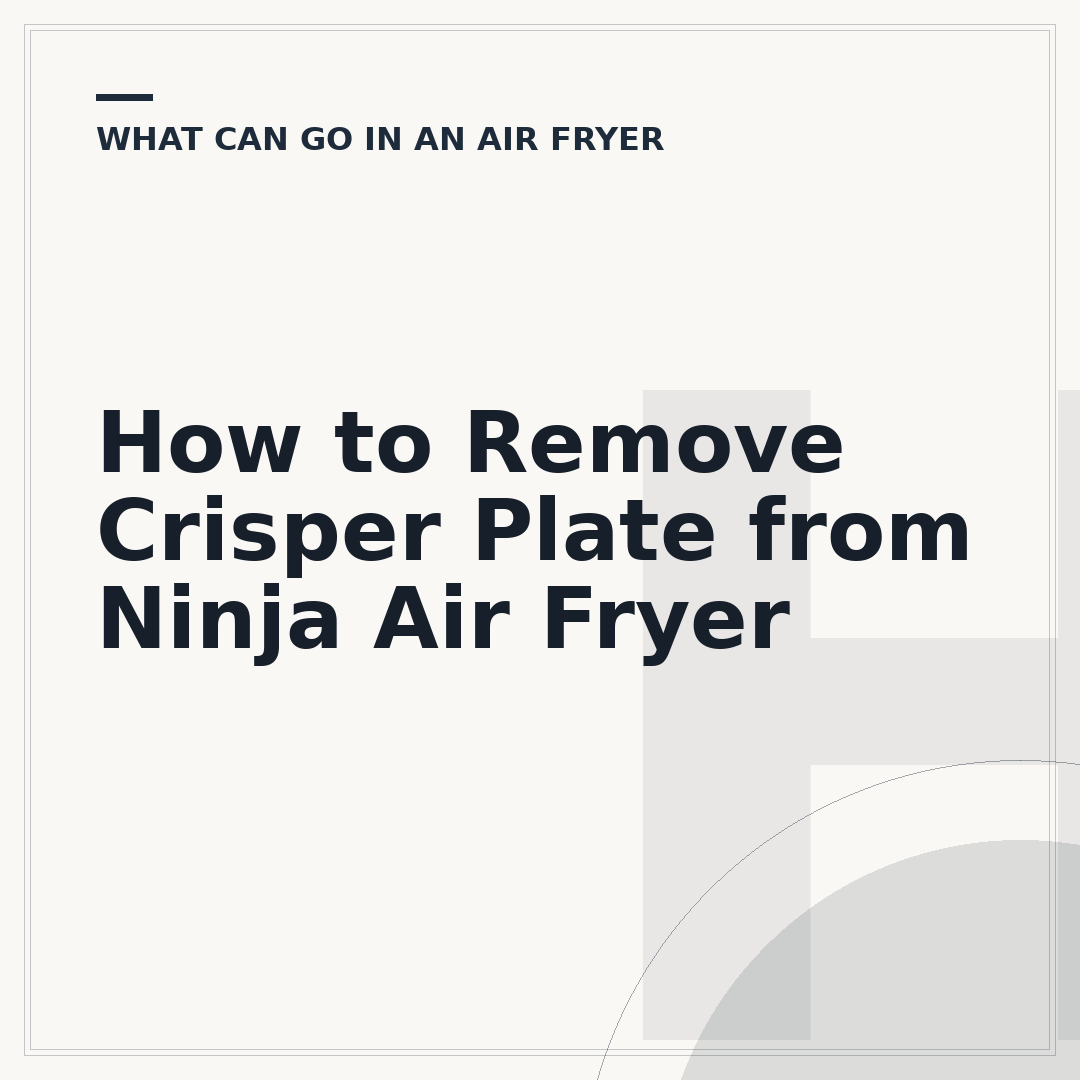 How to Remove Crisper Plate from Ninja Air Fryer