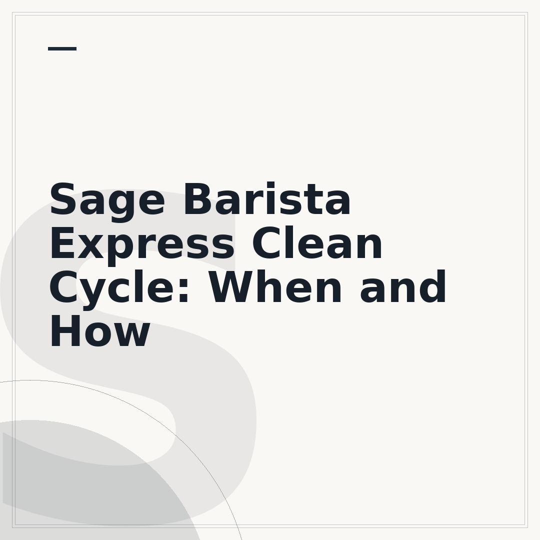 Sage Barista Express Clean Cycle: When and How