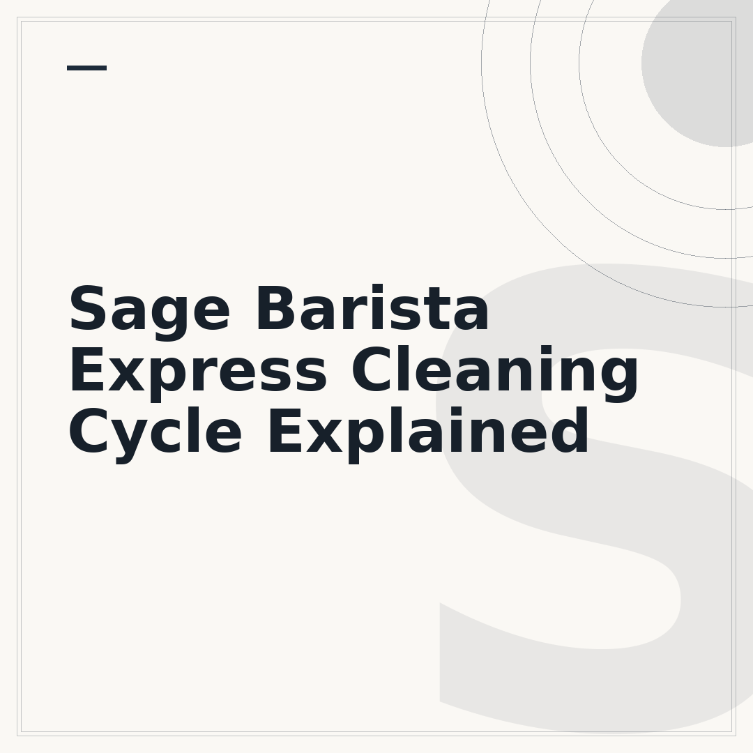 Sage Barista Express Cleaning Cycle Explained
