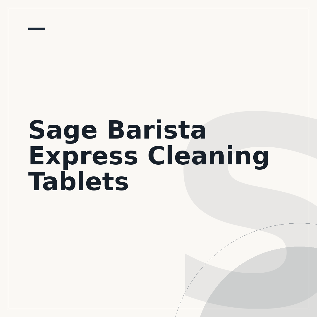 Sage Barista Express Cleaning Tablets