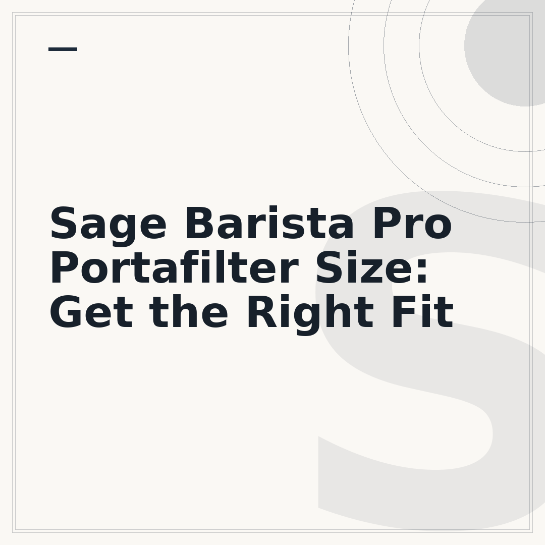 Sage Barista Pro Portafilter Size: Get the Right Fit