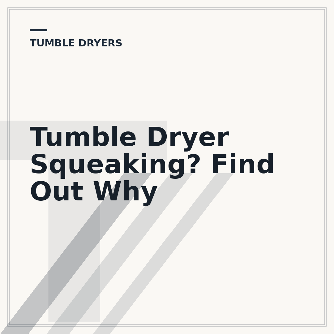 Tumble Dryer Squeaking? Find Out Why