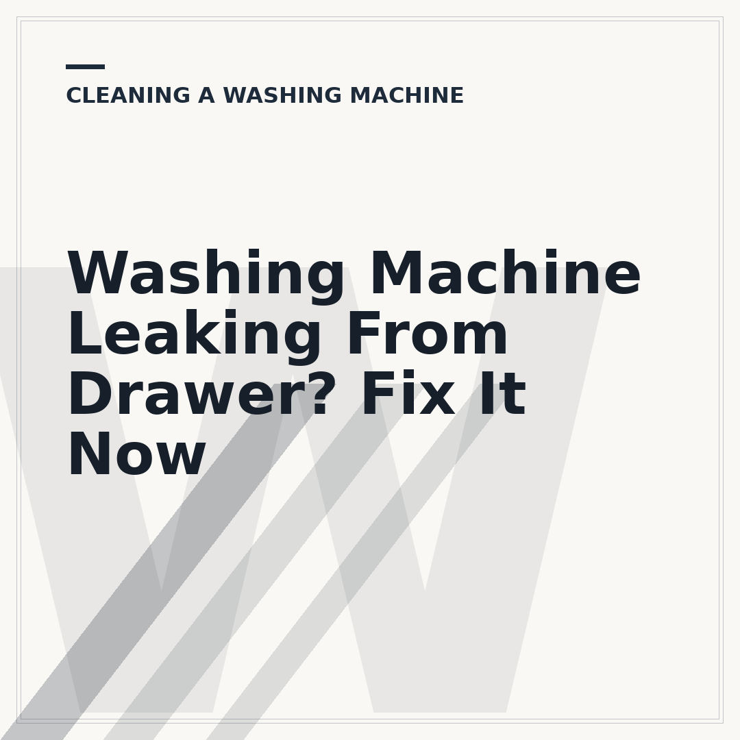 Washing Machine Leaking From Drawer? Fix It Now