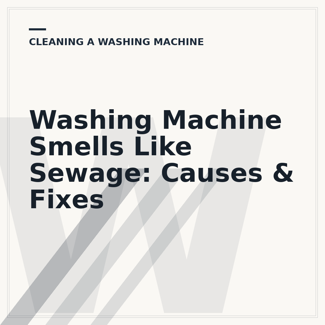 Washing Machine Smells Like Sewage: Causes & Fixes