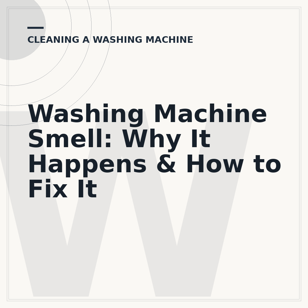 Washing Machine Smell: Why It Happens & How to Fix It